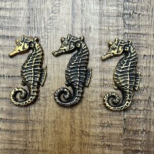 Seahorse